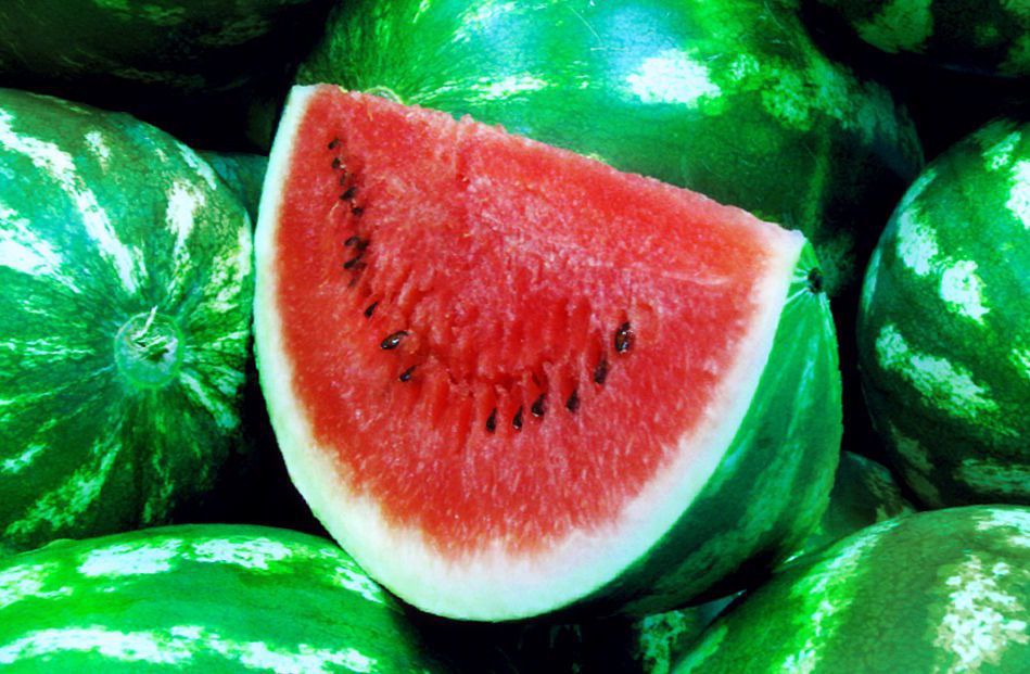 Najbolje namirnice za održavanje hidratacije u ljetnim mjesecima